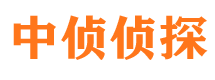 游仙市调查公司